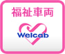 福祉車両(Welcab)