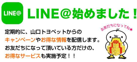 山口トヨペットからのキャンペーンやお得な情報を配信します。お友だちだけのお得なサービスも！