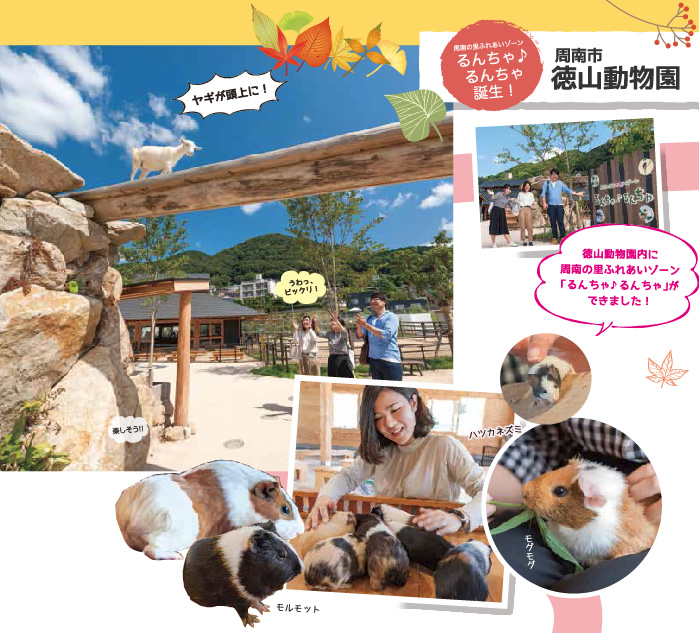 徳山動物園