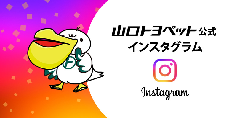 山口トヨペット公式インスタグラム