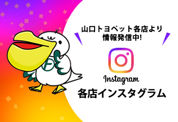 各店インスタグラム