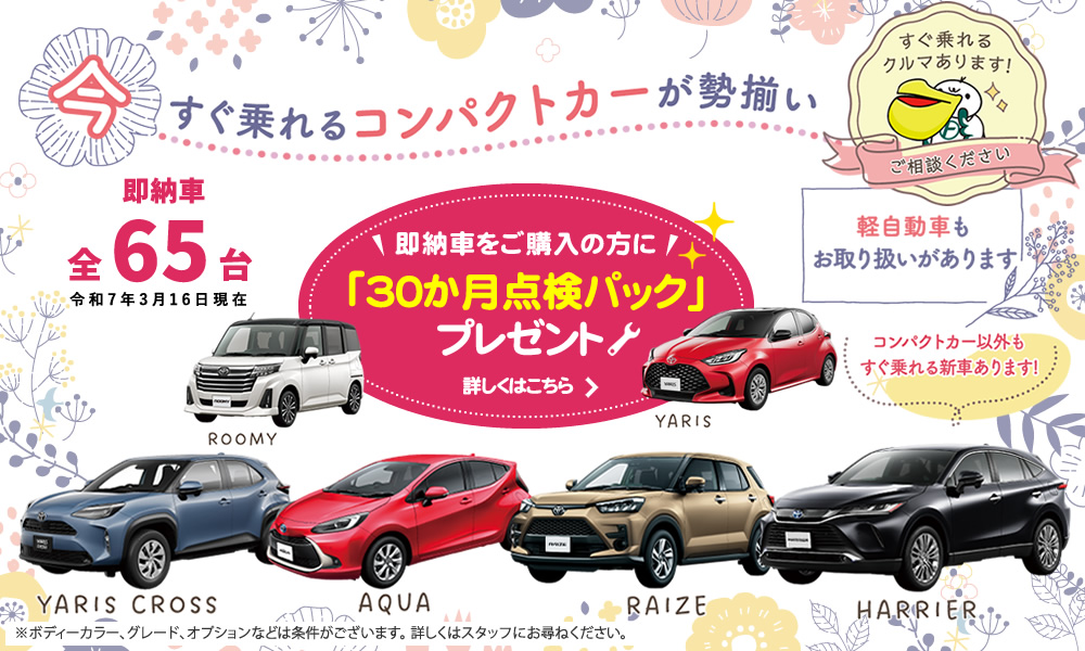 今すぐ乗れるコンパクトカーが勢ぞろい！