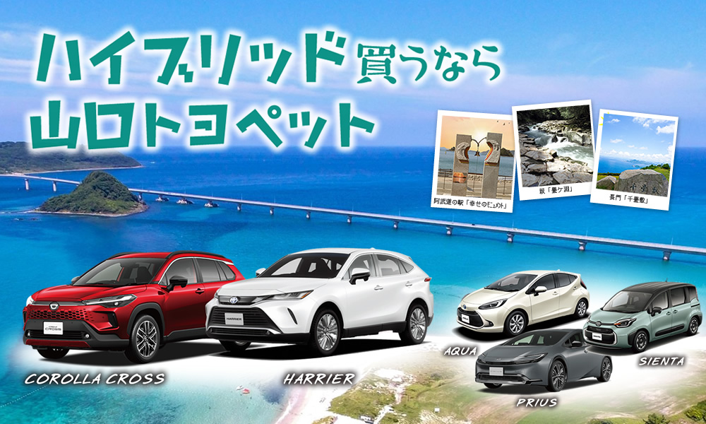 ミニバン買うなら山口トヨペット